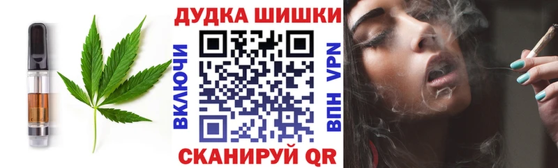 Canna-Cookies марихуана  Купить  Сланцы 