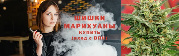 твердый Ельня