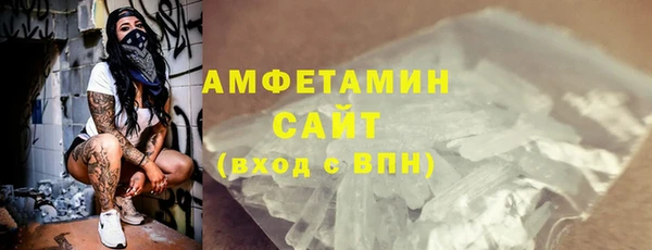 твердый Ельня