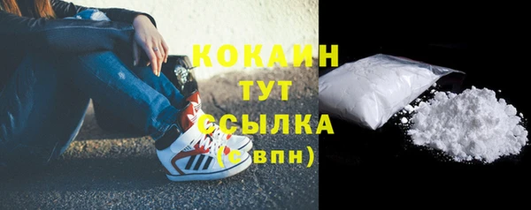 винт Тайга