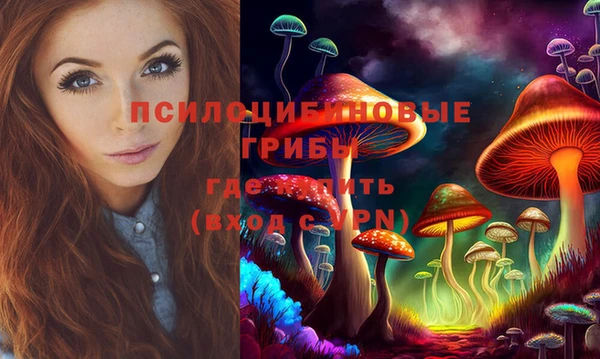 амф Елабуга