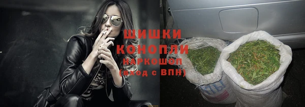 амф Елабуга