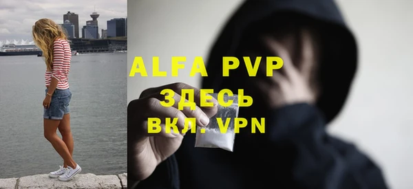 твердый Ельня