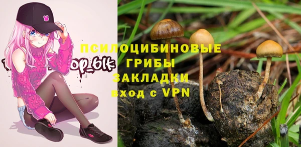 2c-b Елизово