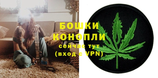 метадон Заводоуковск