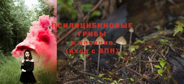 амф Елабуга