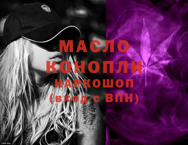 твердый Ельня