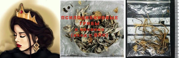 твердый Ельня