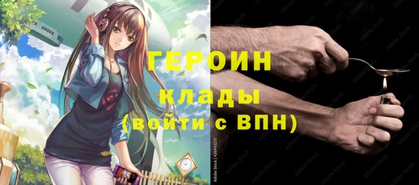 твердый Ельня