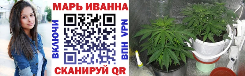 Бошки марихуана Ganja Купить Сланцы